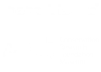 Paperblanks and Getty logos.